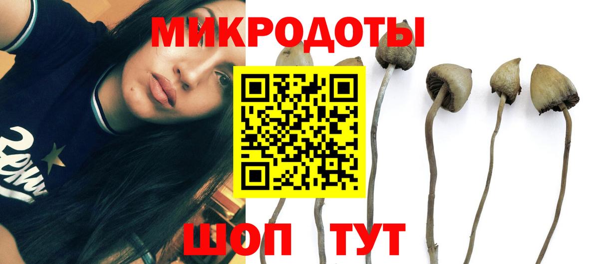 дарнет шоп  Галлюциногенные грибы Psilocybe  Вход с VPN  Вязники 